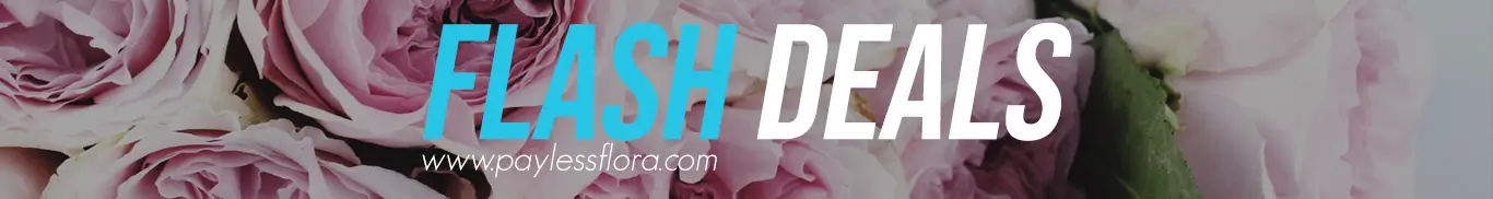 Flowers at lowest price only in limited time