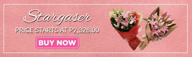 Stargazer flower delivery in angeles city