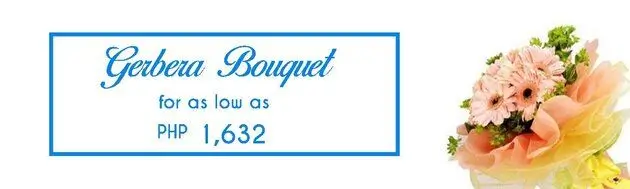 Cheap Gerbera Bouquets