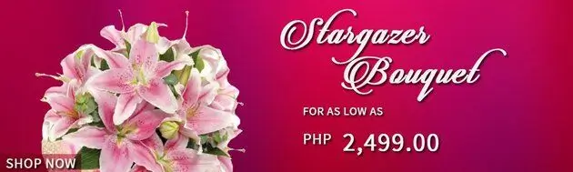 Stunning Stargazer Flower Bouquets