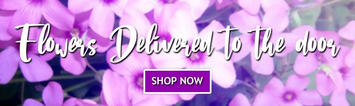 Valentines Day Flower Delivery in Iloilo City