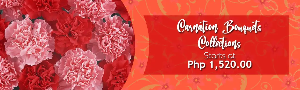 Carnation Flower Bouquets