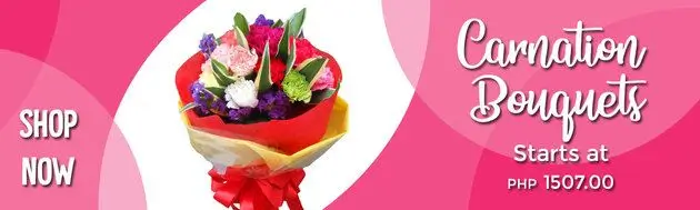 Cheap Carnation Flower Bouquets