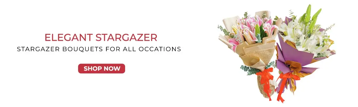 Stargazer Bouquets