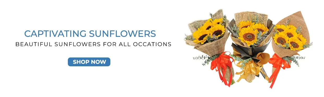 Sunflower Bouquet Collection