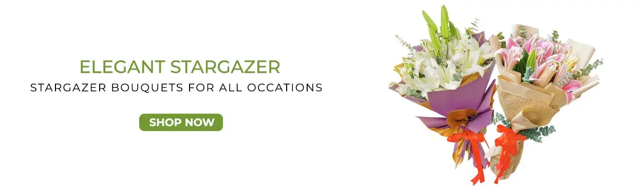 Stargazer Bouquets