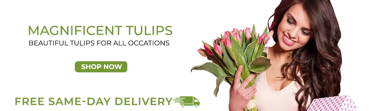 Tulip Flower bouquet