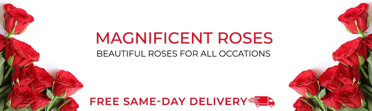 Rose Bouquets