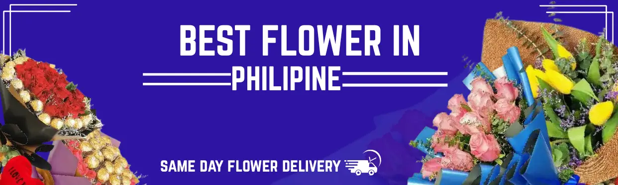 Lavishly Elegant Stargazer Bouquet