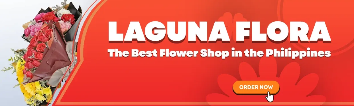 Carnation Flower Bouquets