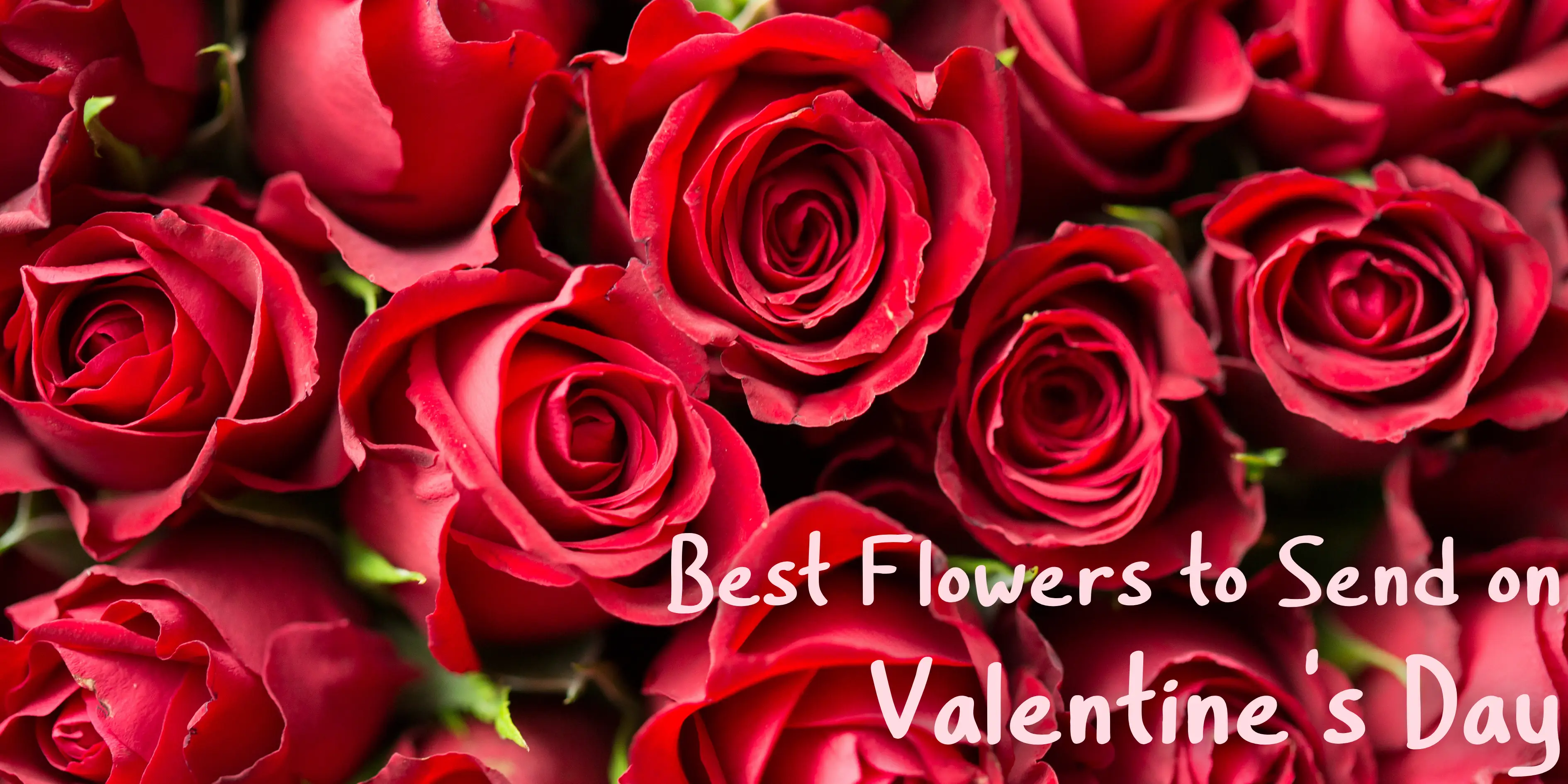 Best Flowers to Send on Valentines Day in the Philippines