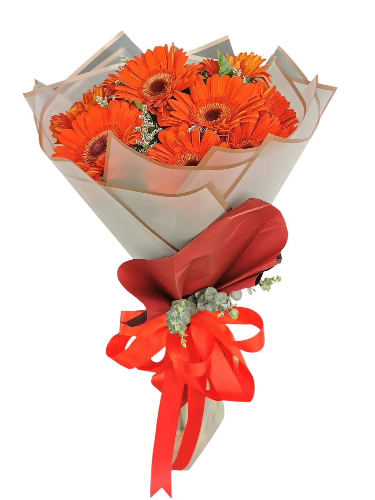 10-Gerbera-Korean White-Maroon