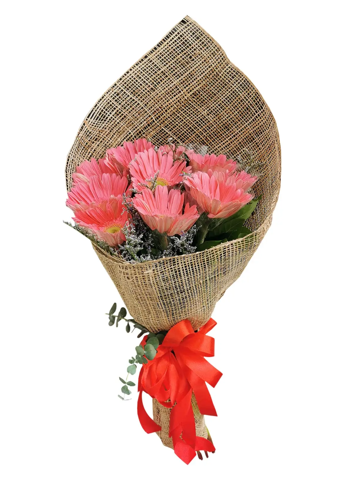 10 Fuschia Pink Gerbera Burlap ph