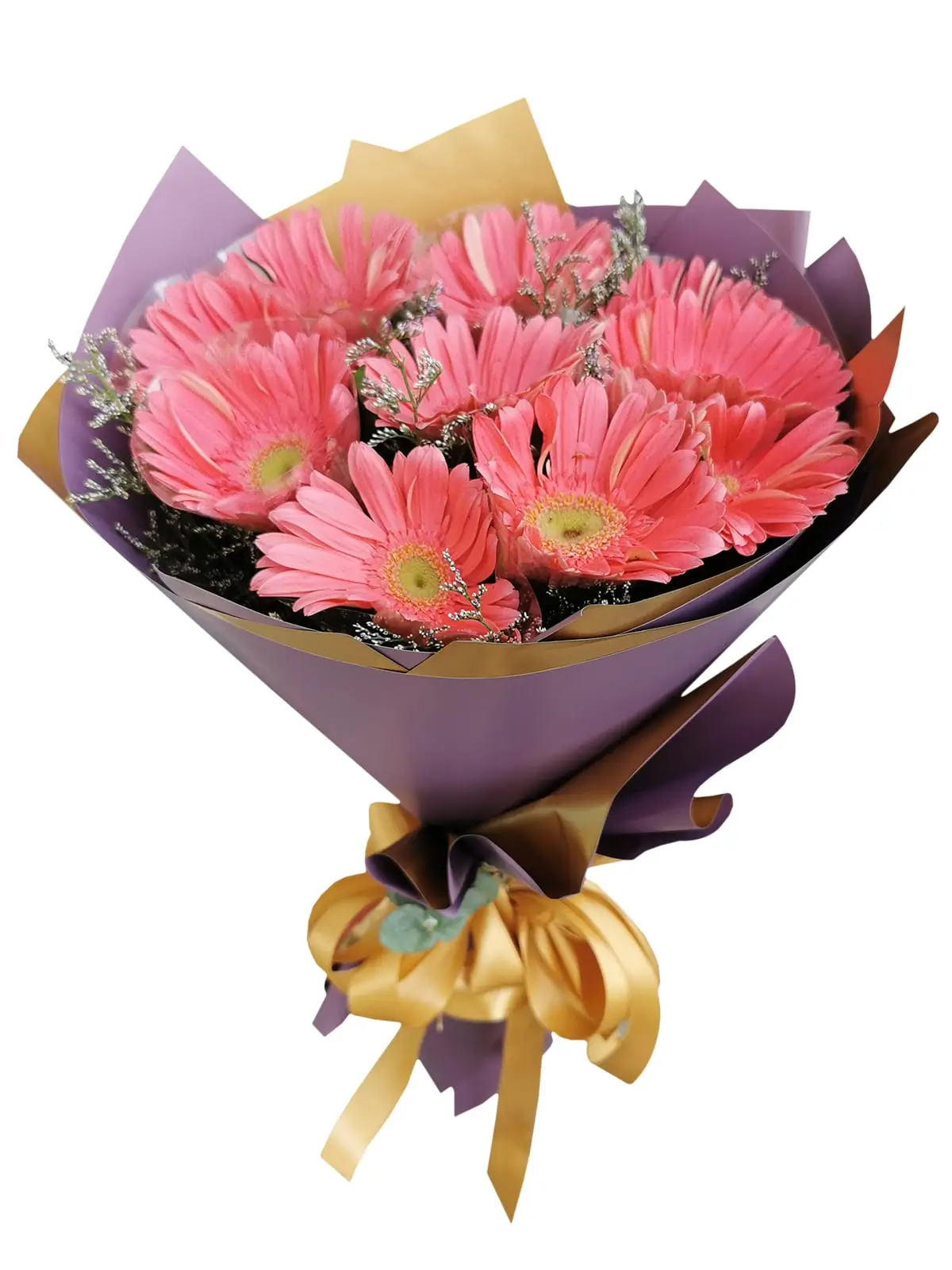 10 Fuchsia Pink Gerbera Korean Purple Gold
