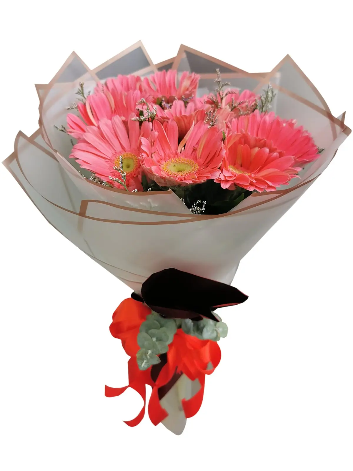 10 Fuchsia Pink Gerbera Korean White Maroon