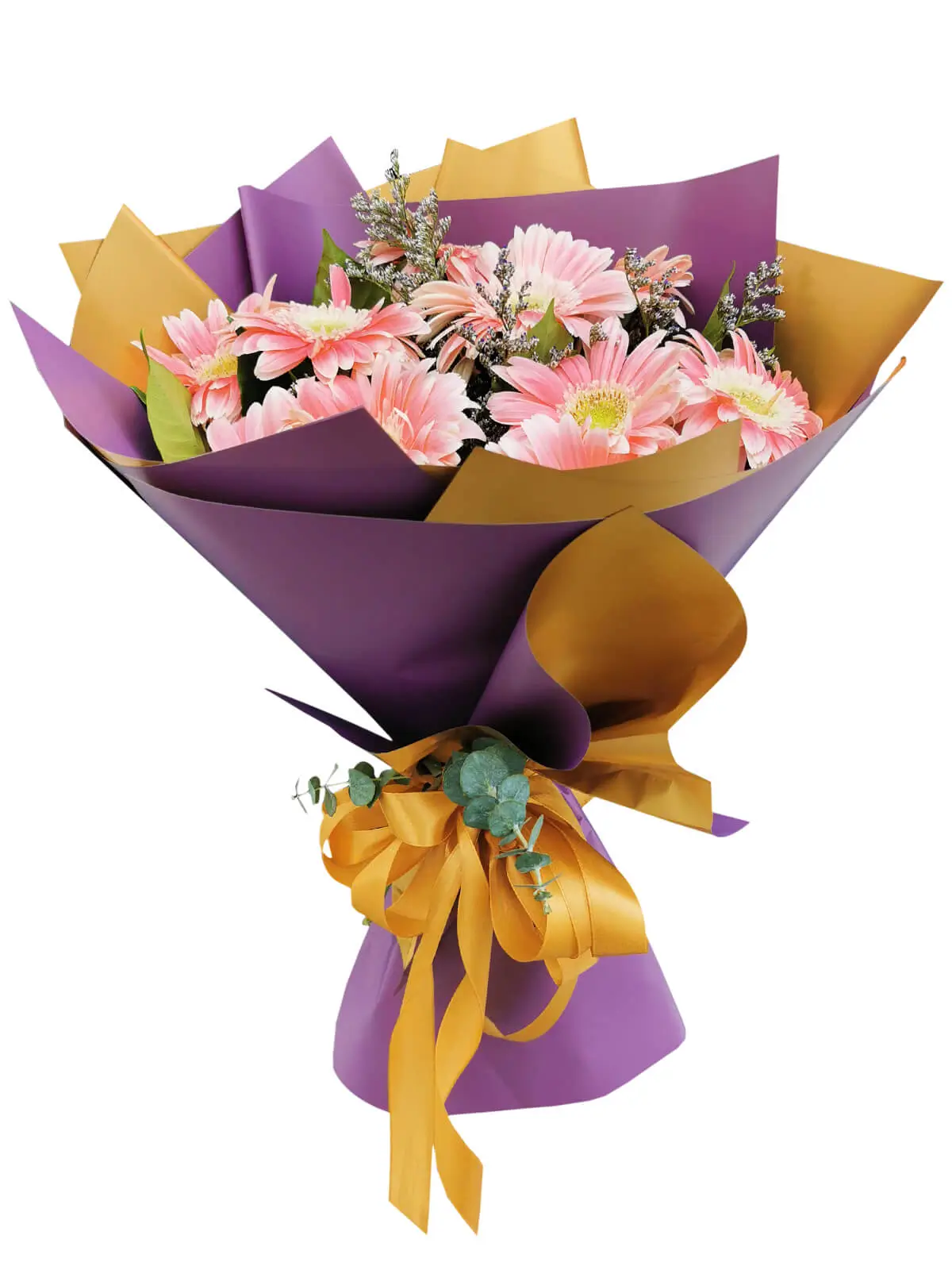 10 PINK Gerbera Korean Purple Gold