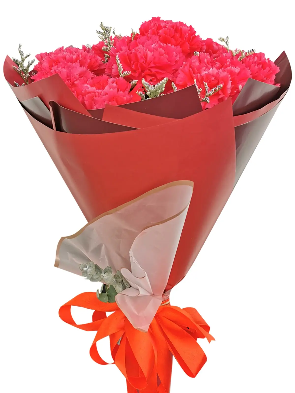 Carnation Fuchsia Pink Korean Maroon White
