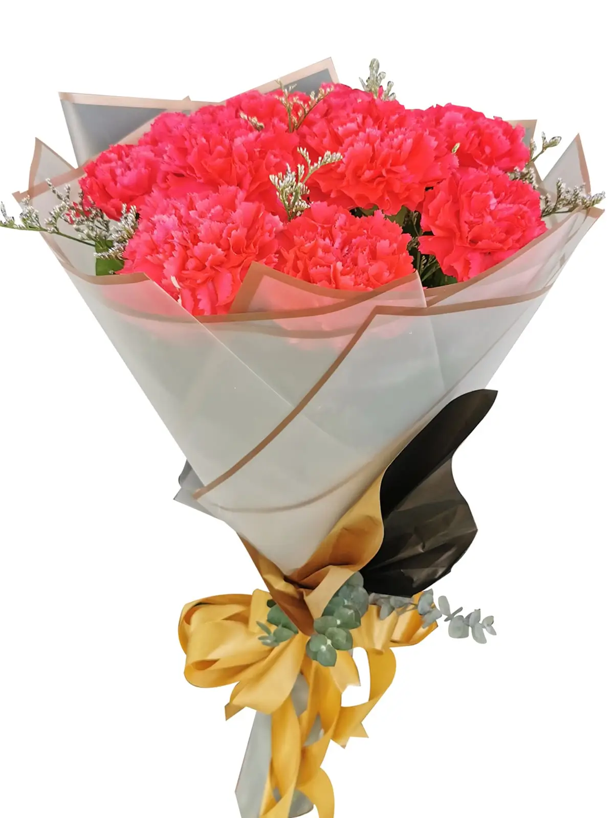 Carnation Fuchsia Pink Korean White bg
