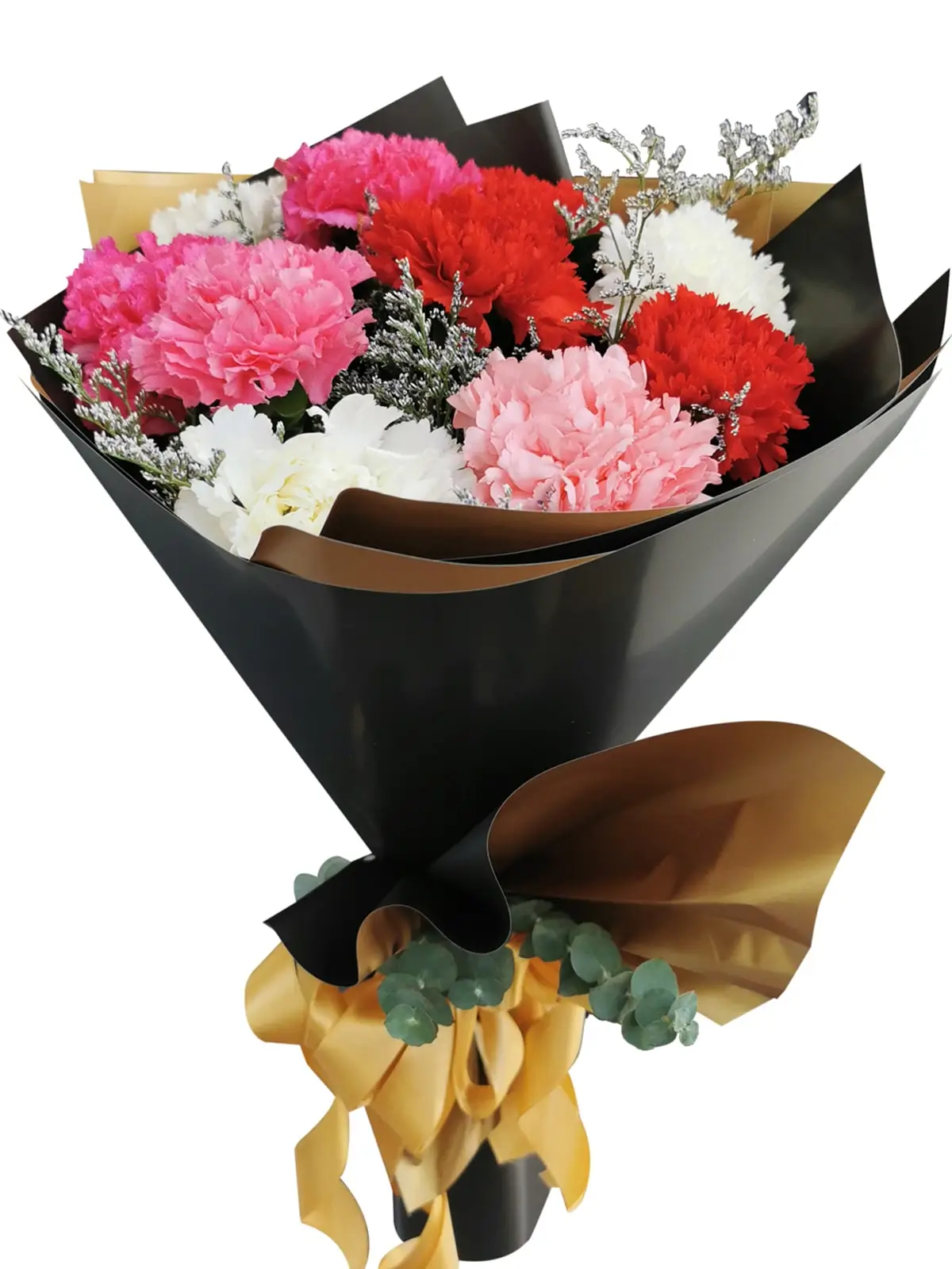 Carnation Korean Black Gold
