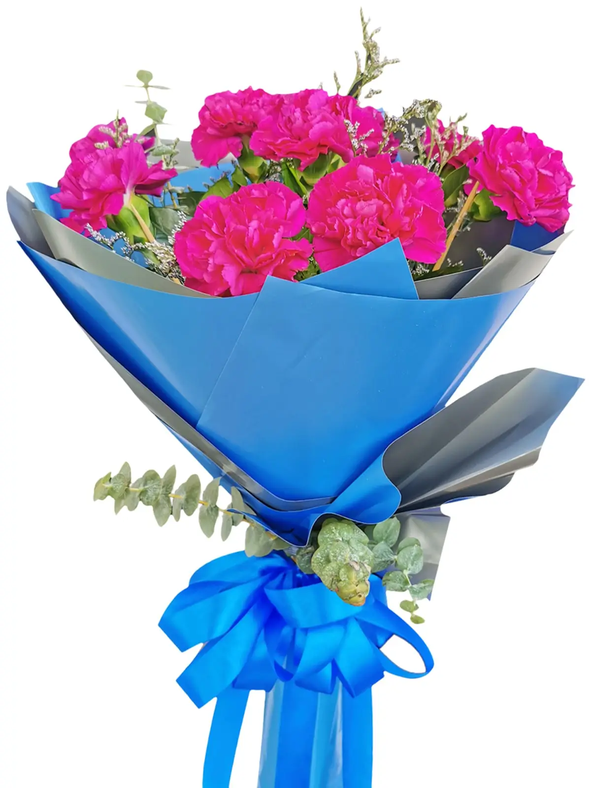 PURPLE Carnation Korean Blue Silver