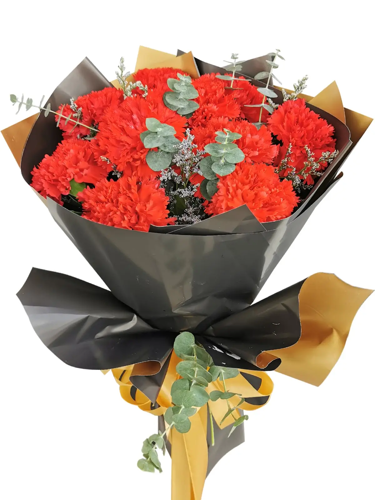 RED Carnation Korean Black Gold