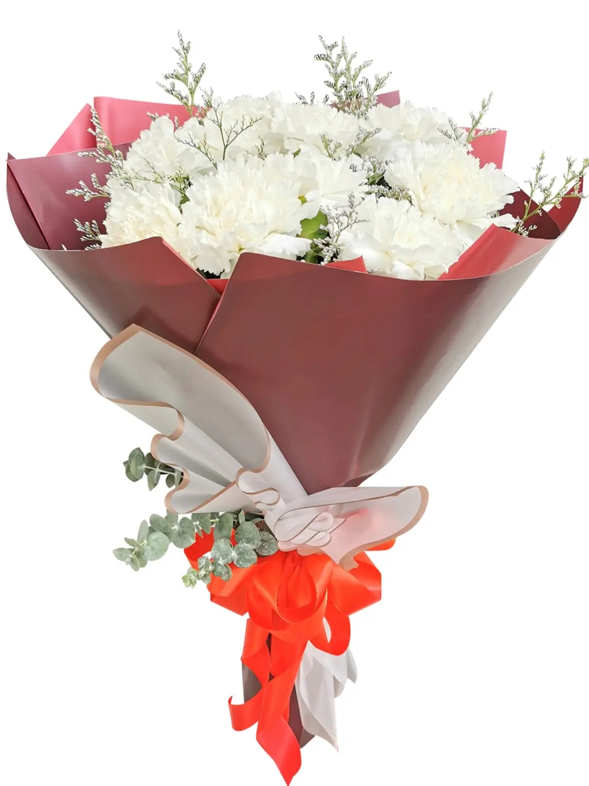 WHITE Carnation Korean Maroon White