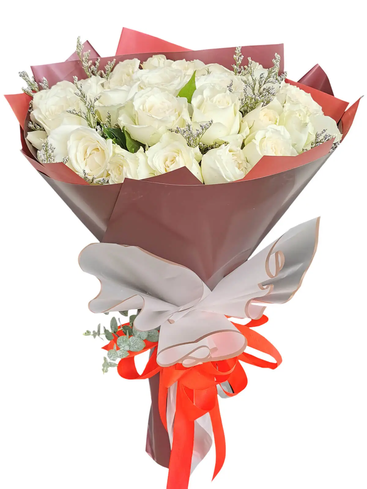 White Rose 24/36 Maroon White