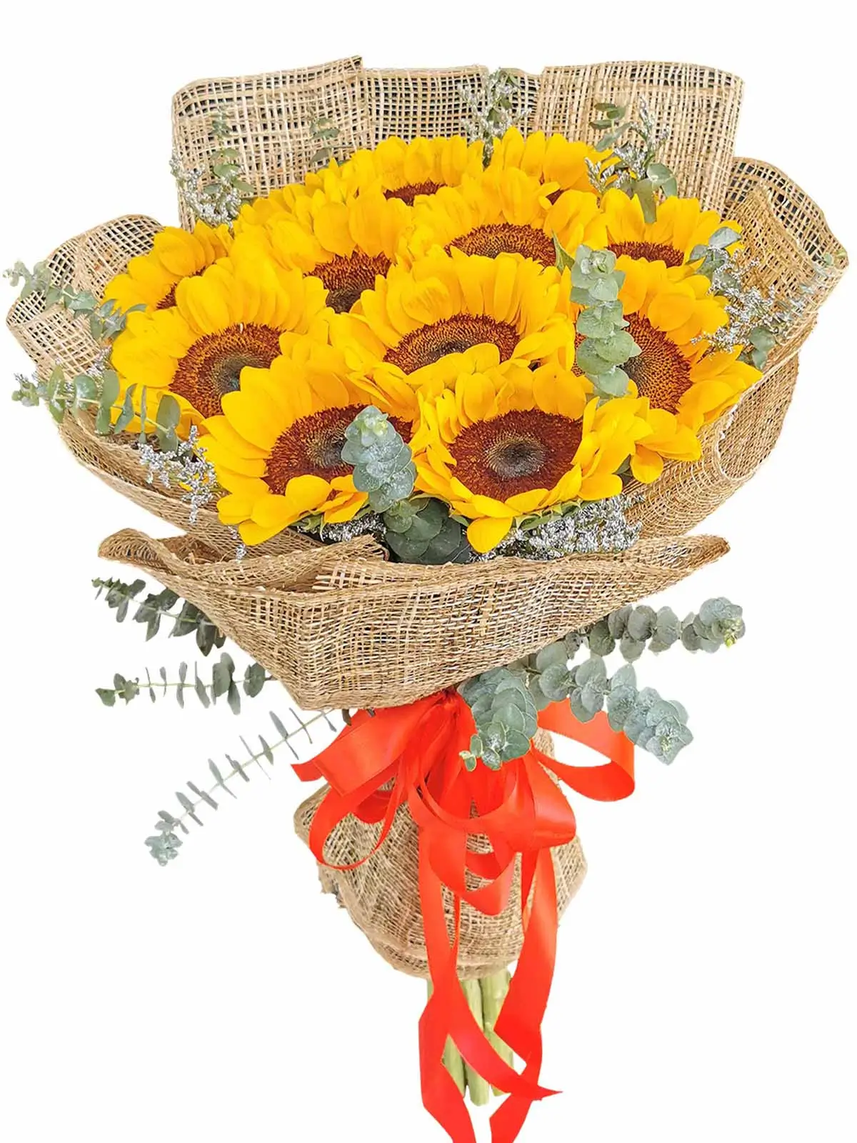 Sunflower burlap ph 12