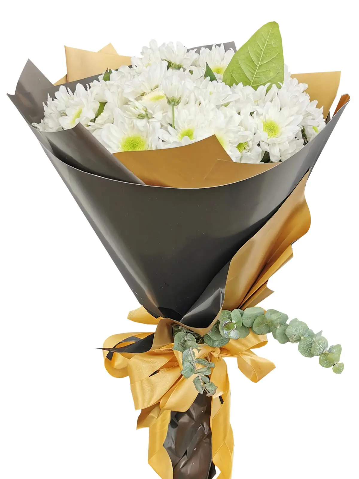 White Mums 12 Black Gold