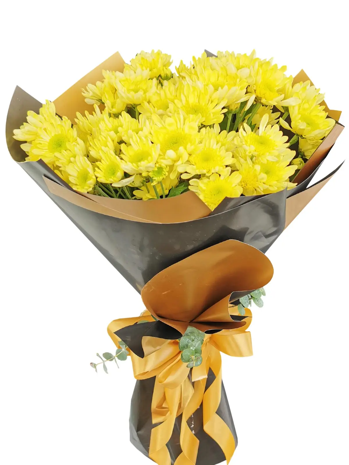 Yellow Mums 12 Black Gold