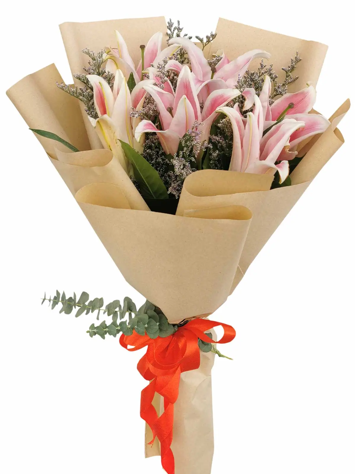 Pink Stargazer 6 Kraft