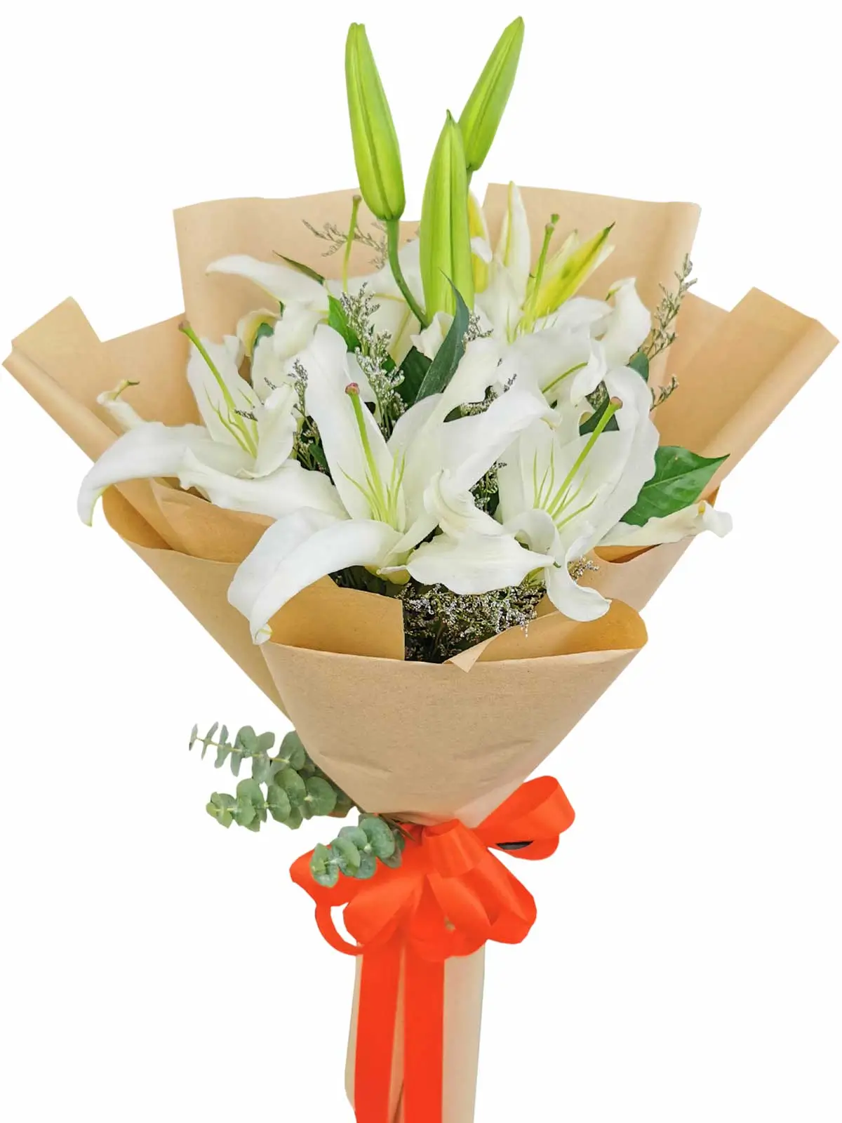 White Stargazers 6 Kraft