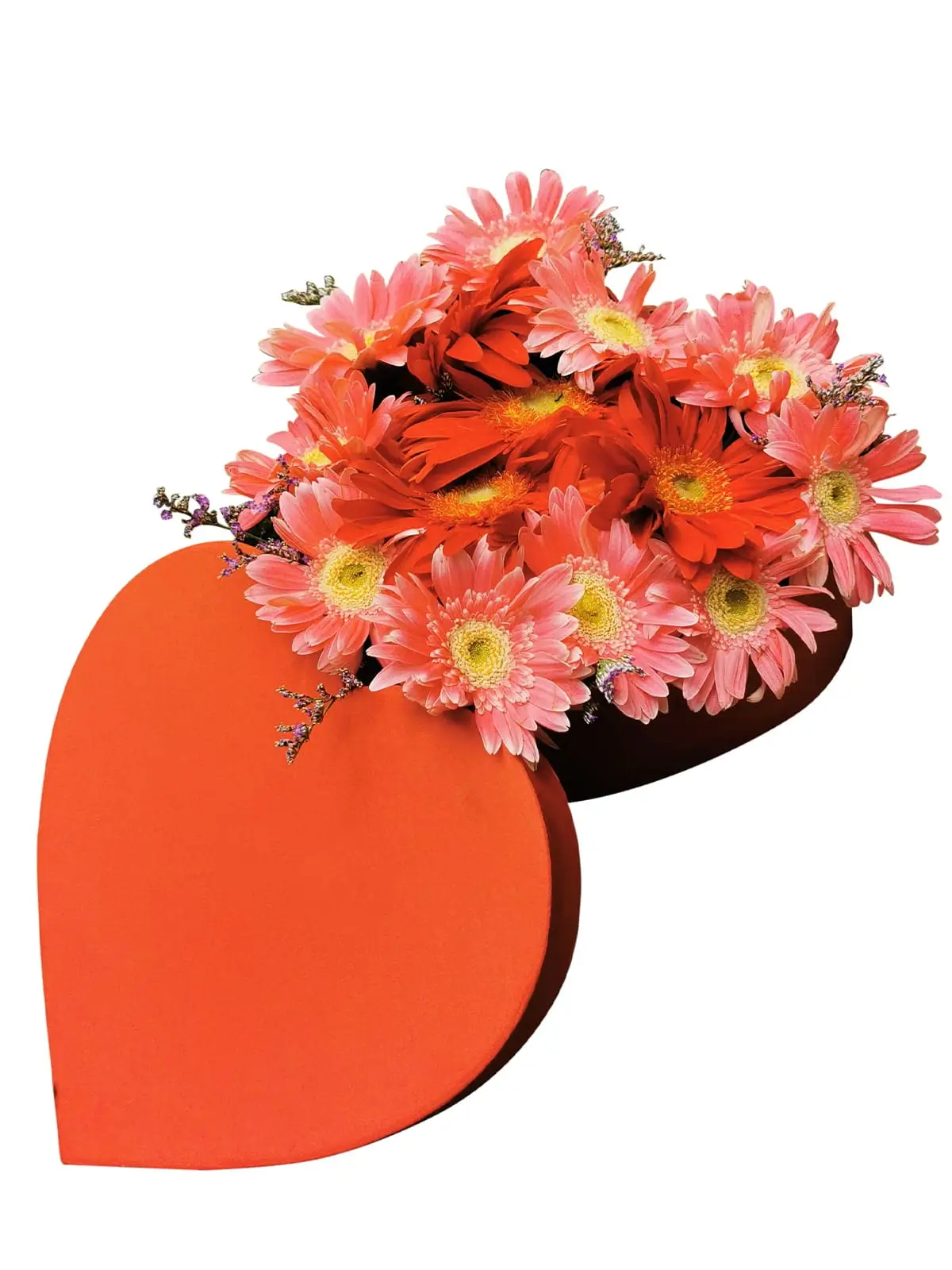 54 Mixed Gerbera Heart Love Box