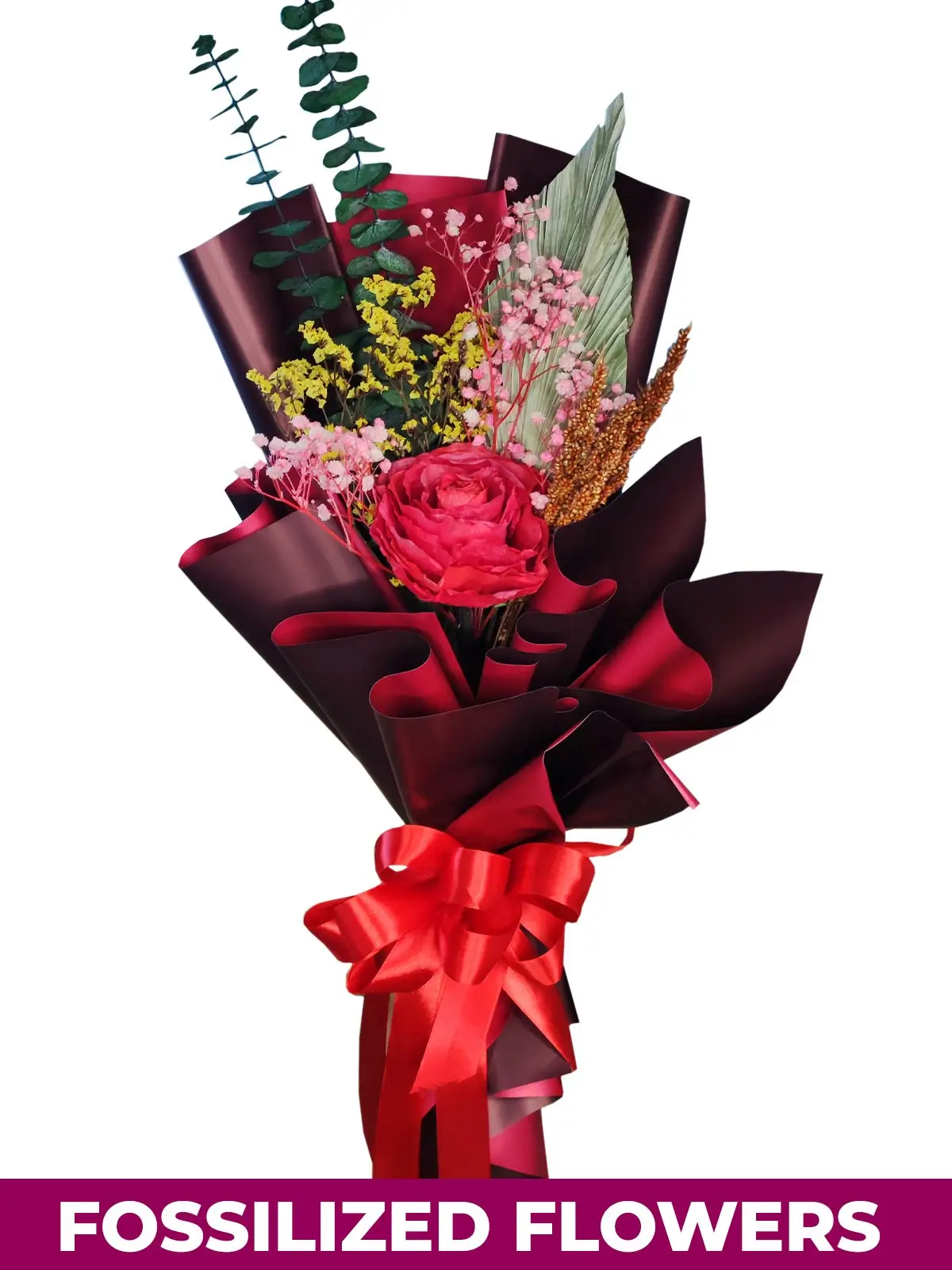 1 Dried Red Rose Maroon Province
