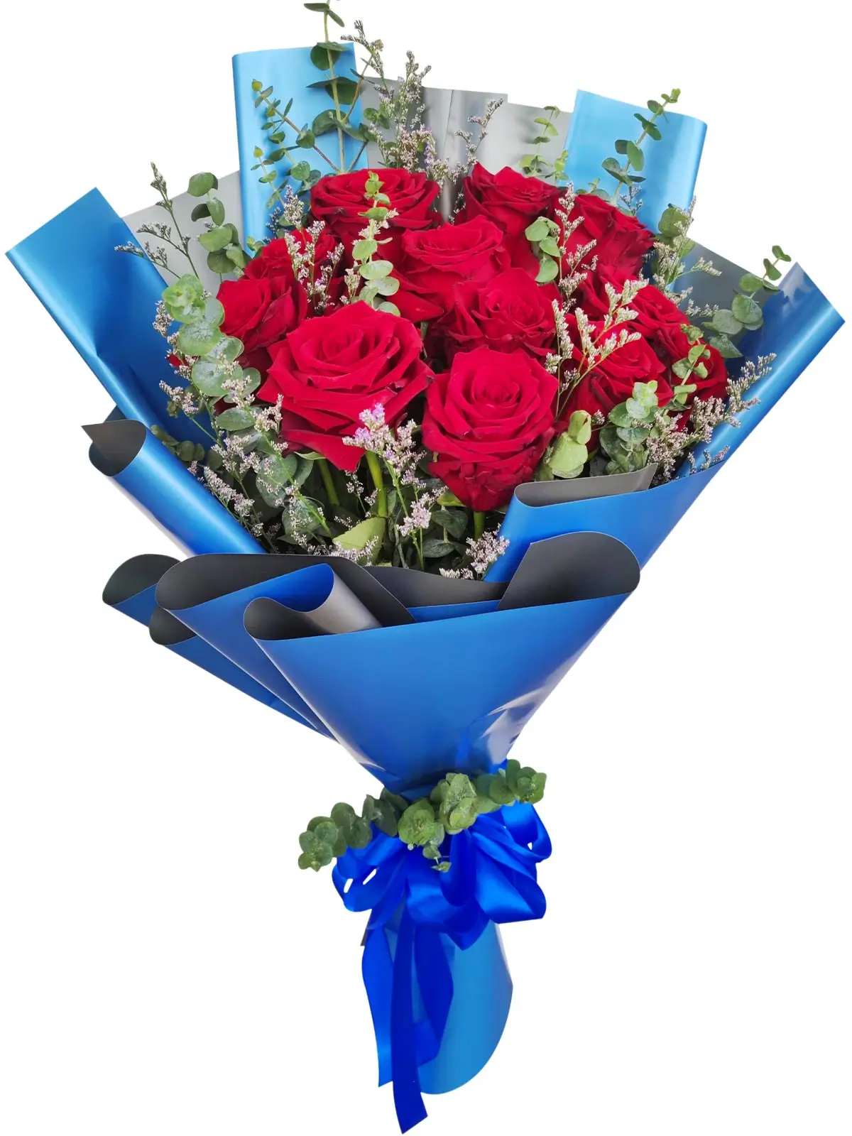 12 red ecua blue/silver