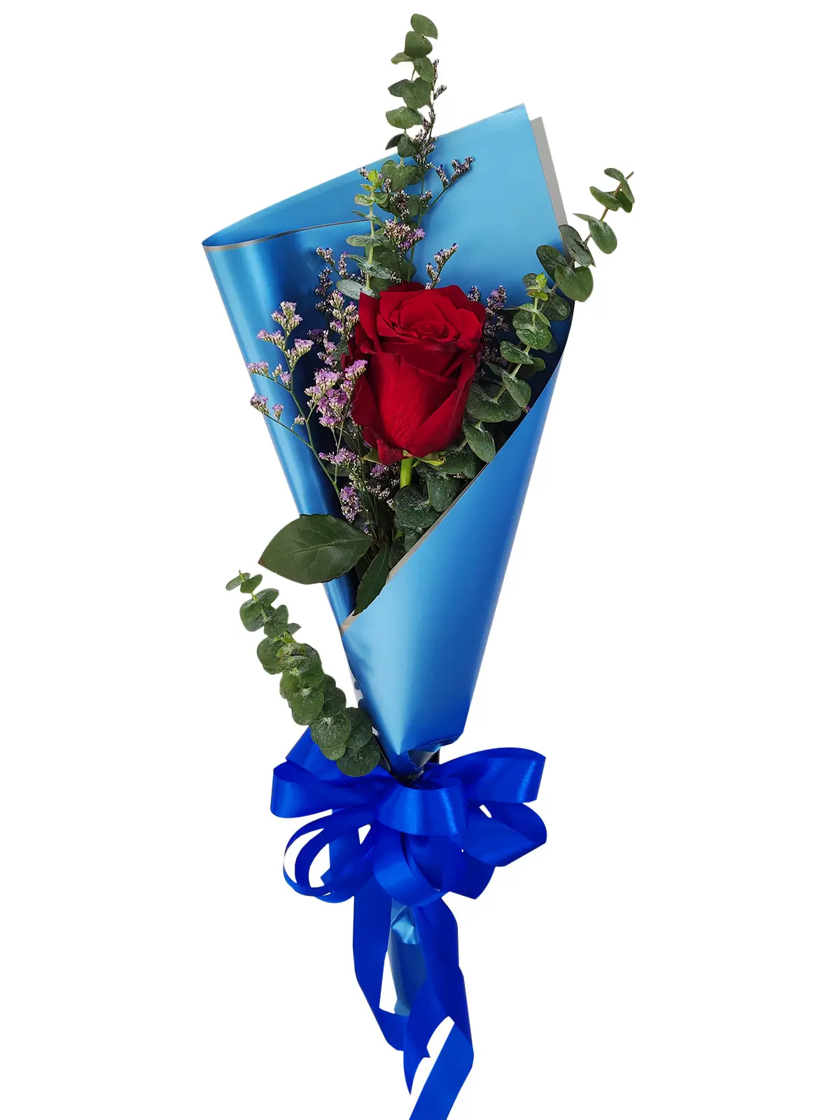 1 red ecua blue/silver