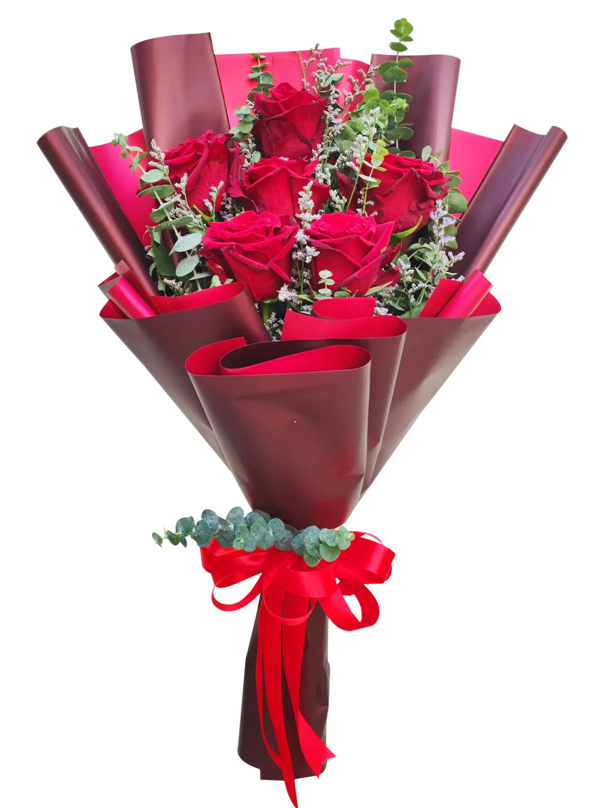 6 red ecua maroon