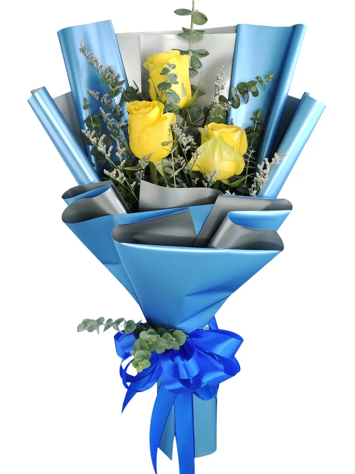 3 yellow ecua blue/silver
