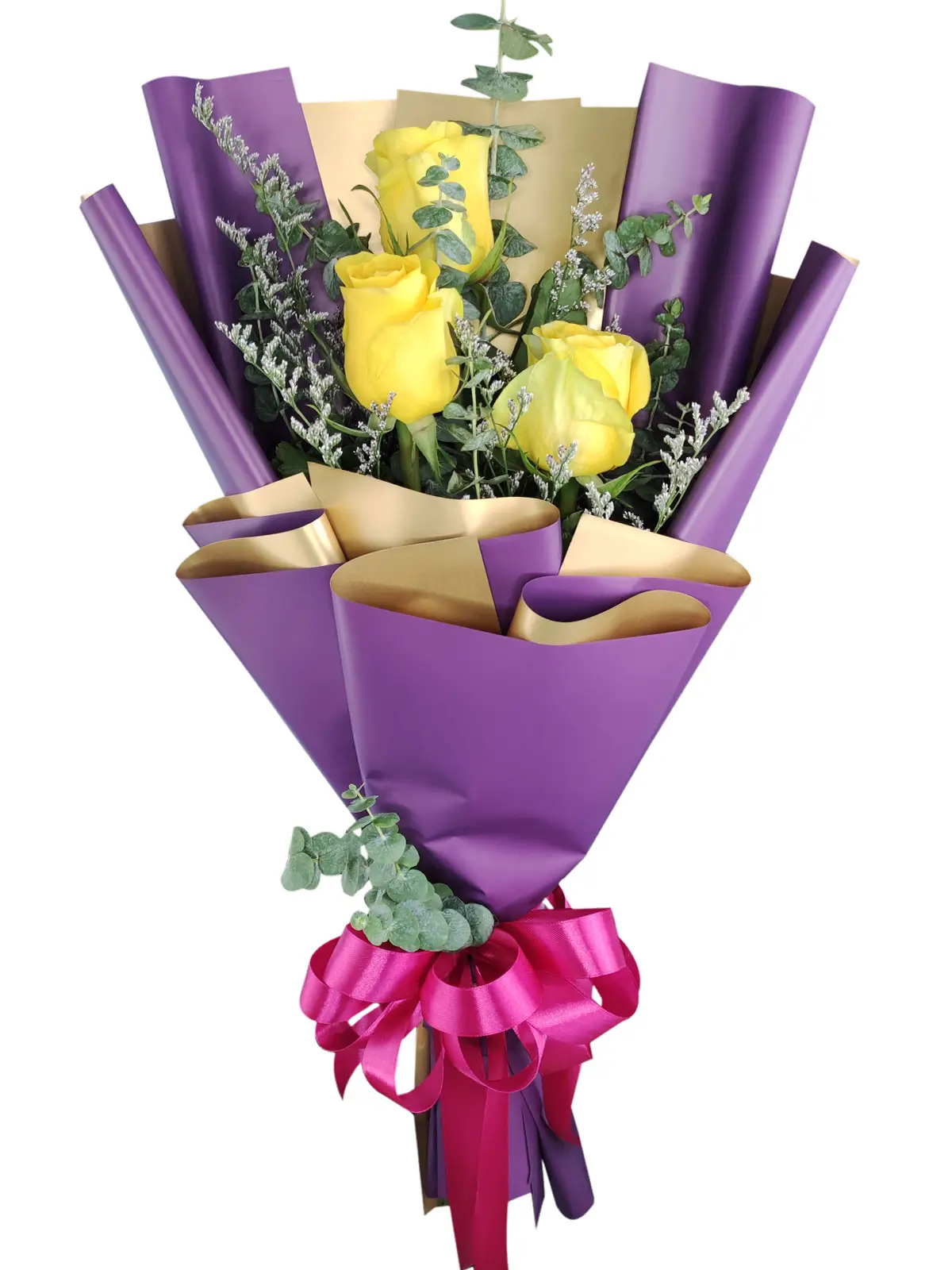 3 yellow ecua purple/gold