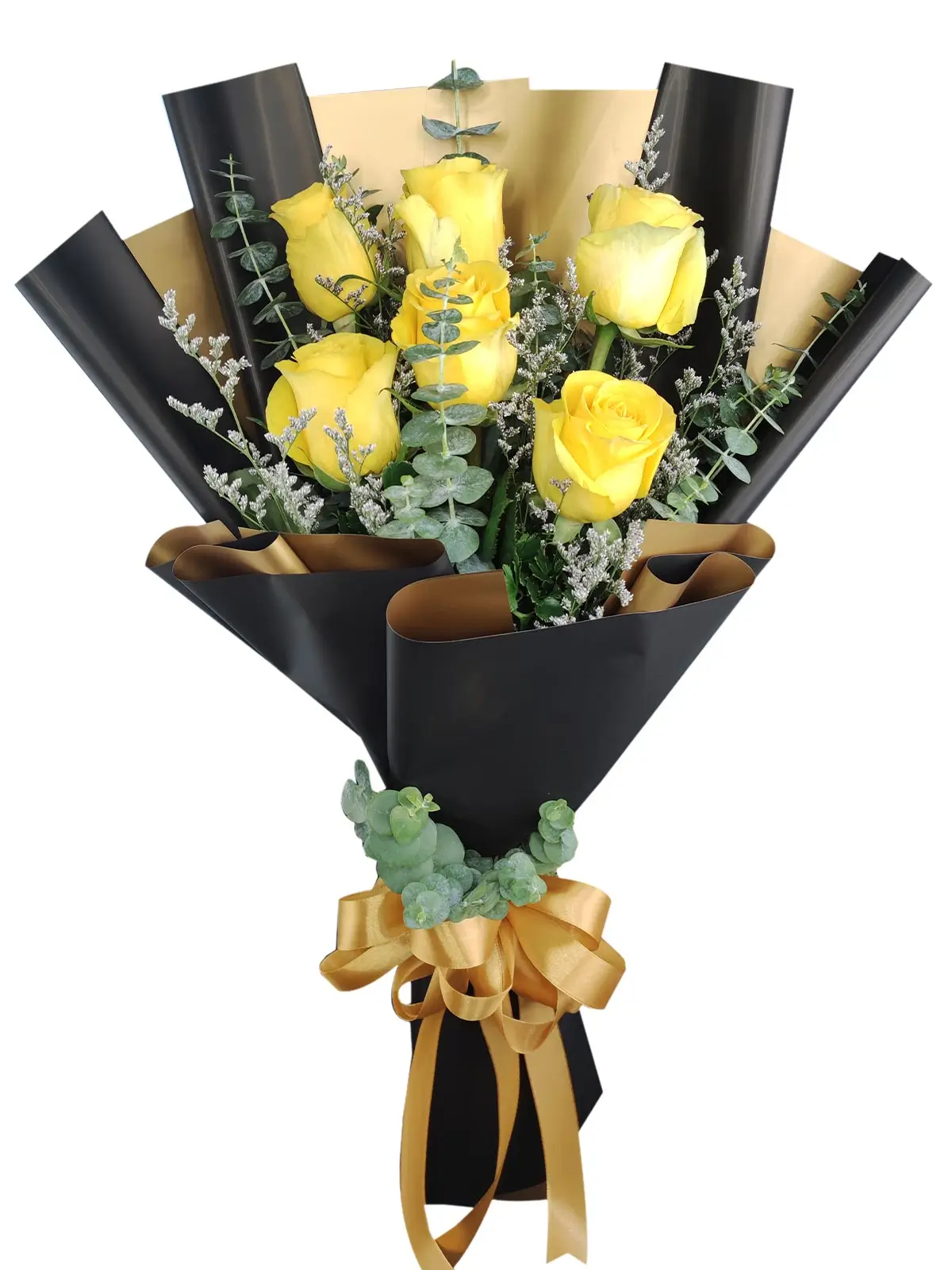6 yellow ecua black/gold