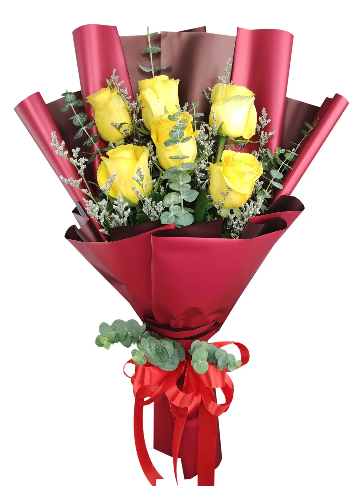 6 yellow ecua maroon
