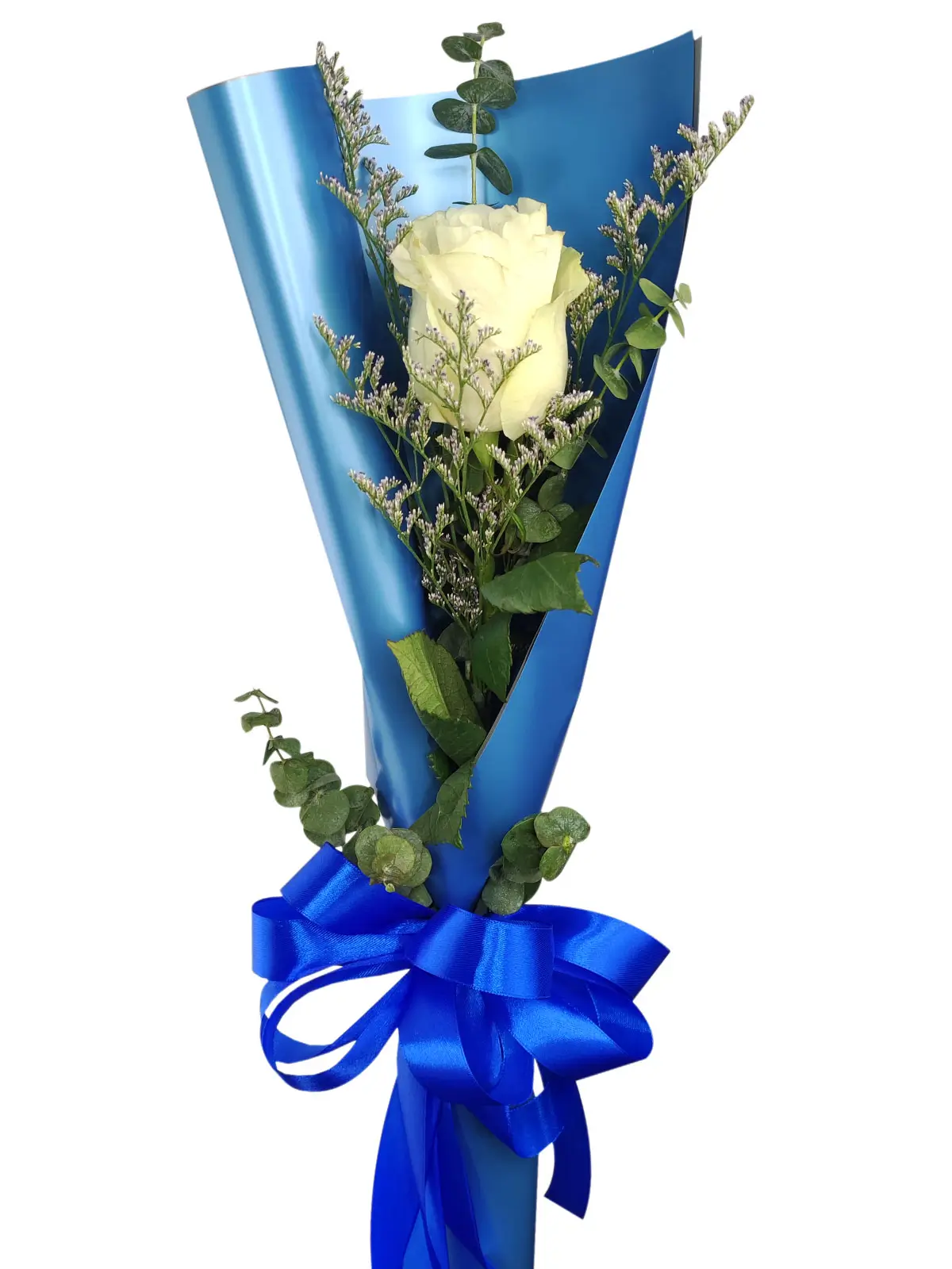 1 white ecua blue/silver