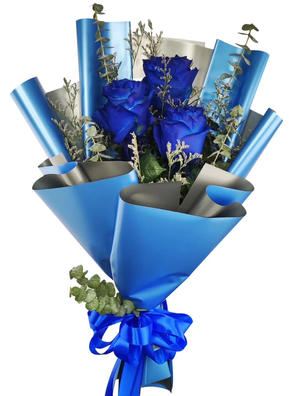 3 blue ecua blue/silver