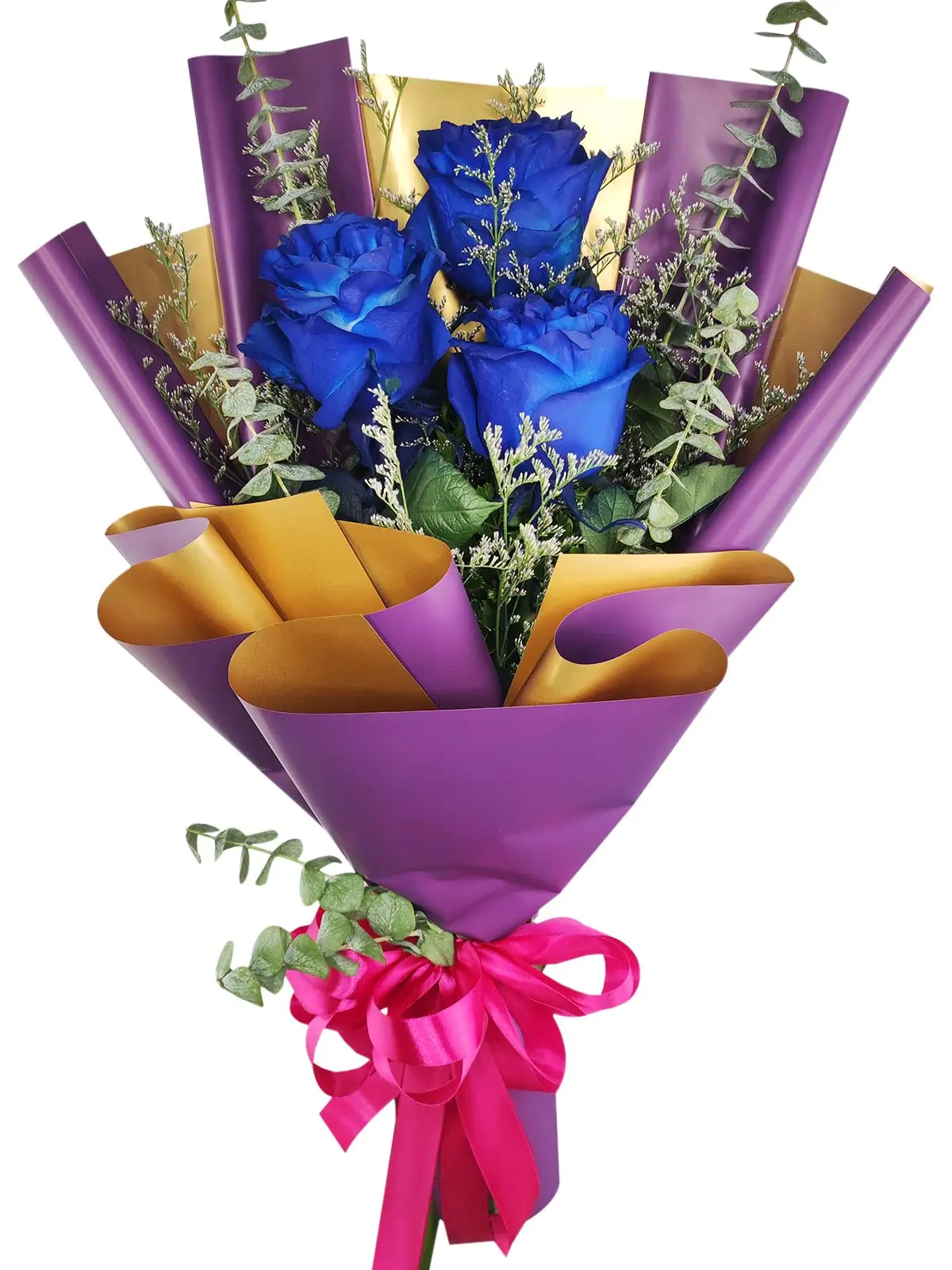 3 blue ecua purple