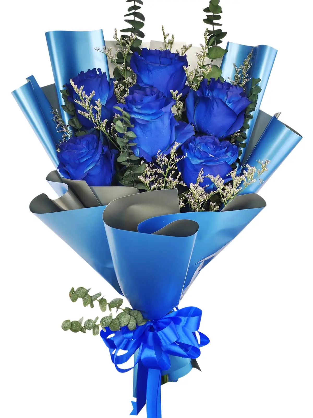 6 blue ecua blue/silver