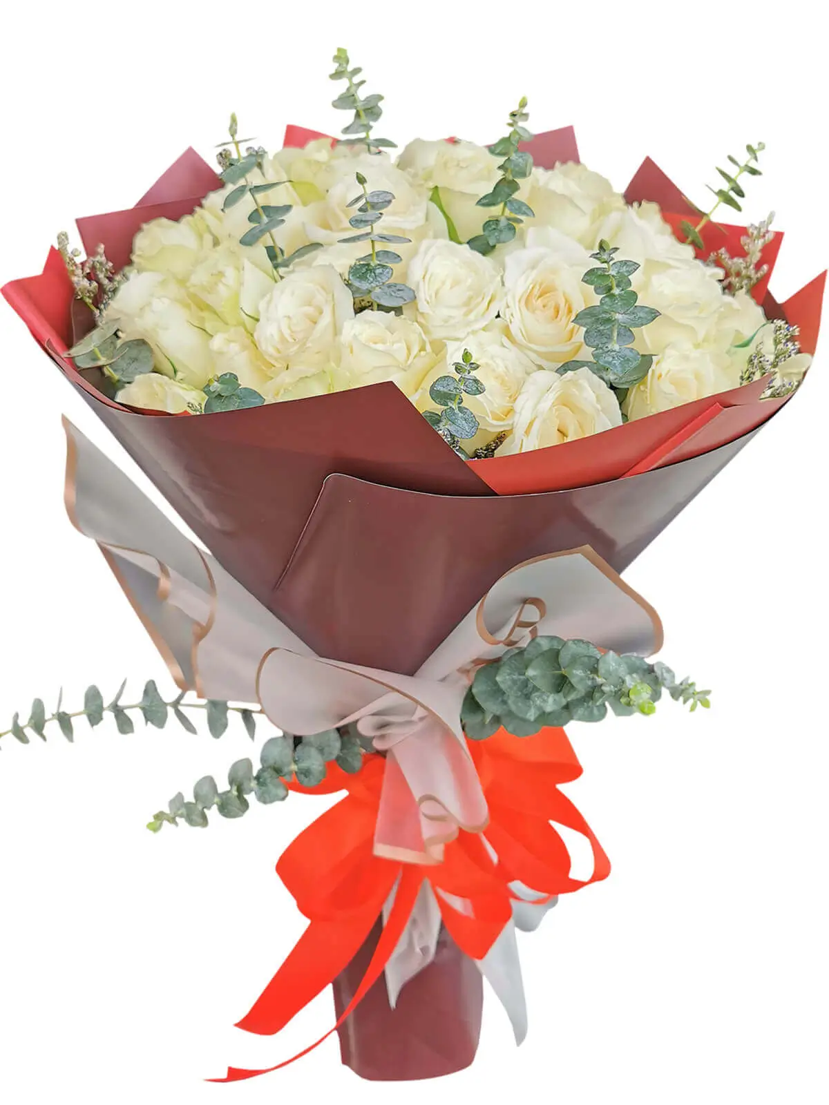 99 pcs white roses, maroon