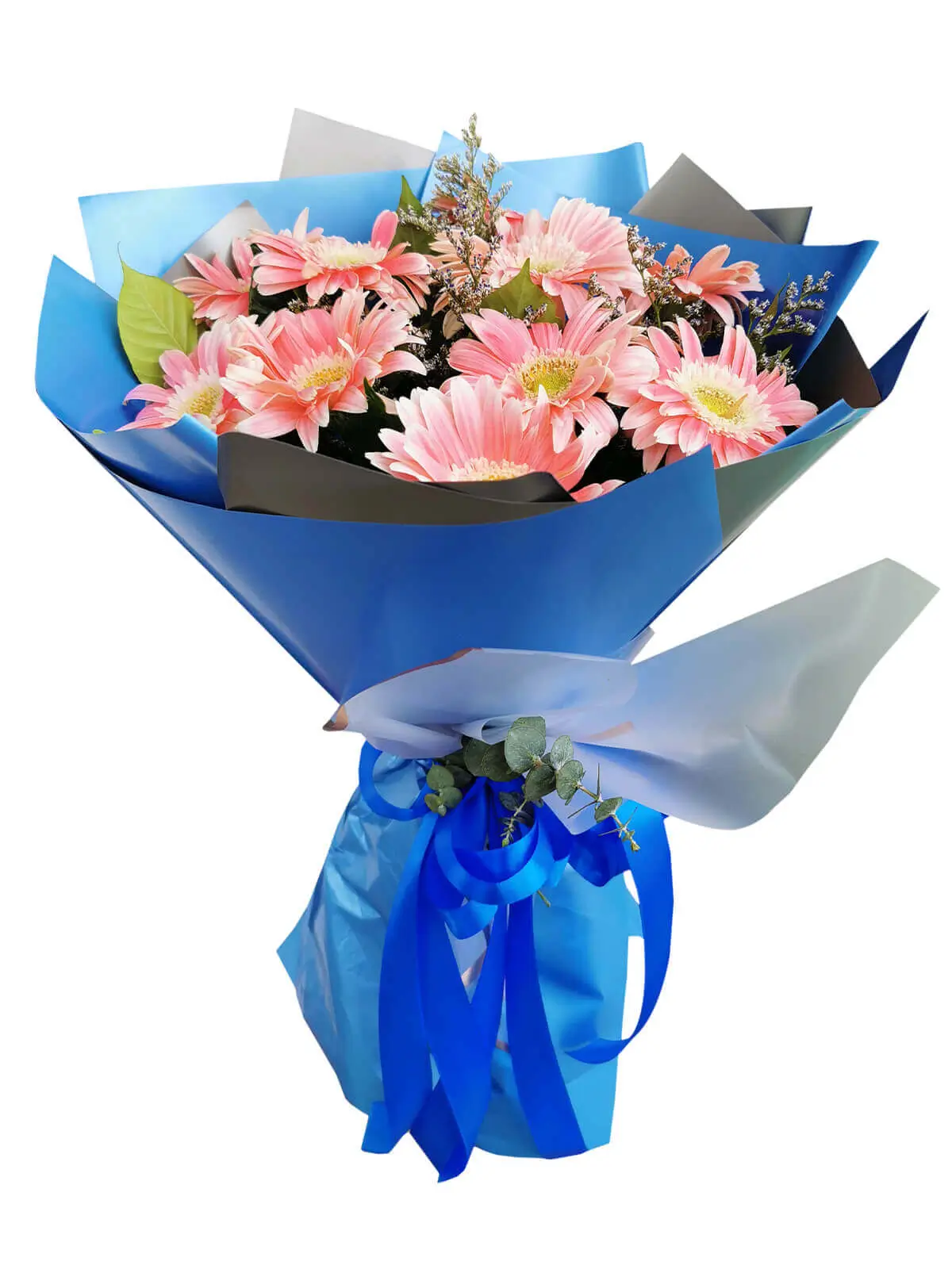 striking-gerbera
