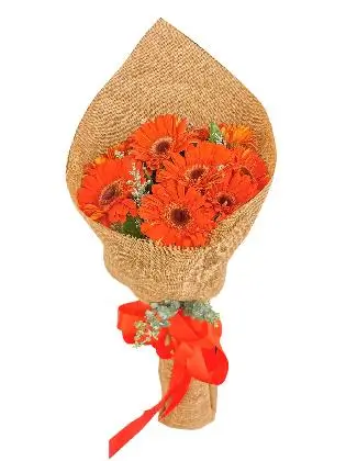 10-Burlap-ch