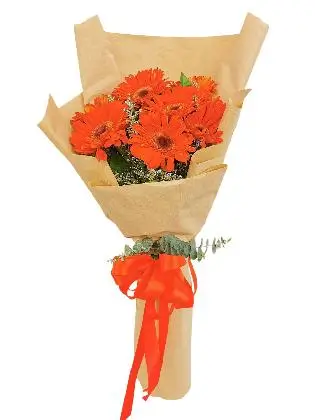 10-Gerbera-Kraft-Paper