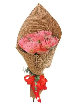 10 Fuschia Pink Gerbera Burlap ch